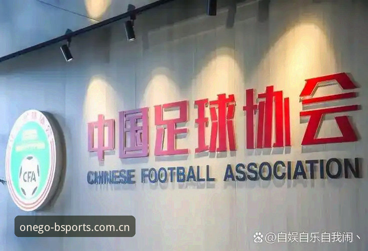 深度解读足协第三批禁足名单的实用指南——从赛事观看体验看中国足球的净化之路